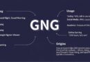 What Does G N G Mean